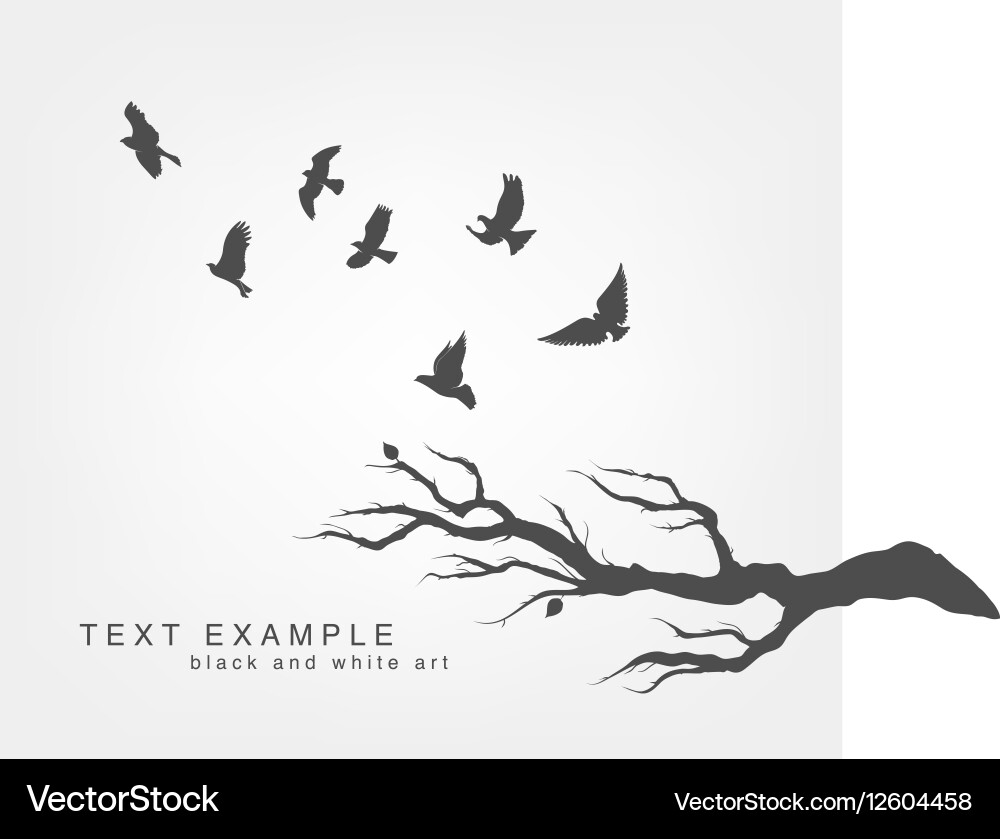 Flying Birds on Branch vector image