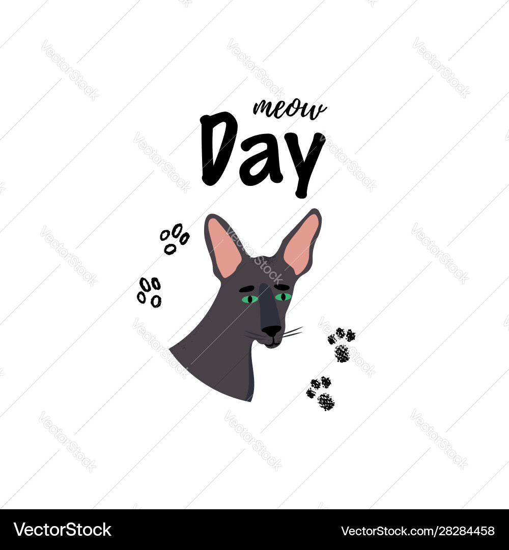 Greeting card with text meow day portrait Vector Image