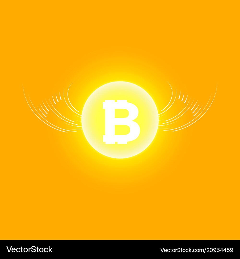 Bitcoin cripto currency blockchain flat Bitcoin cripto currency blockchain flat vector image