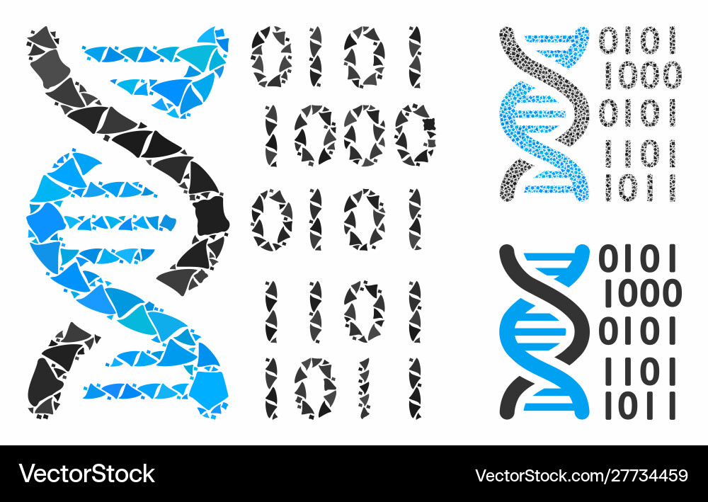 Dna binary code mosaic icon tuberous items Dna binary code mosaic icon tuberous items vector image
