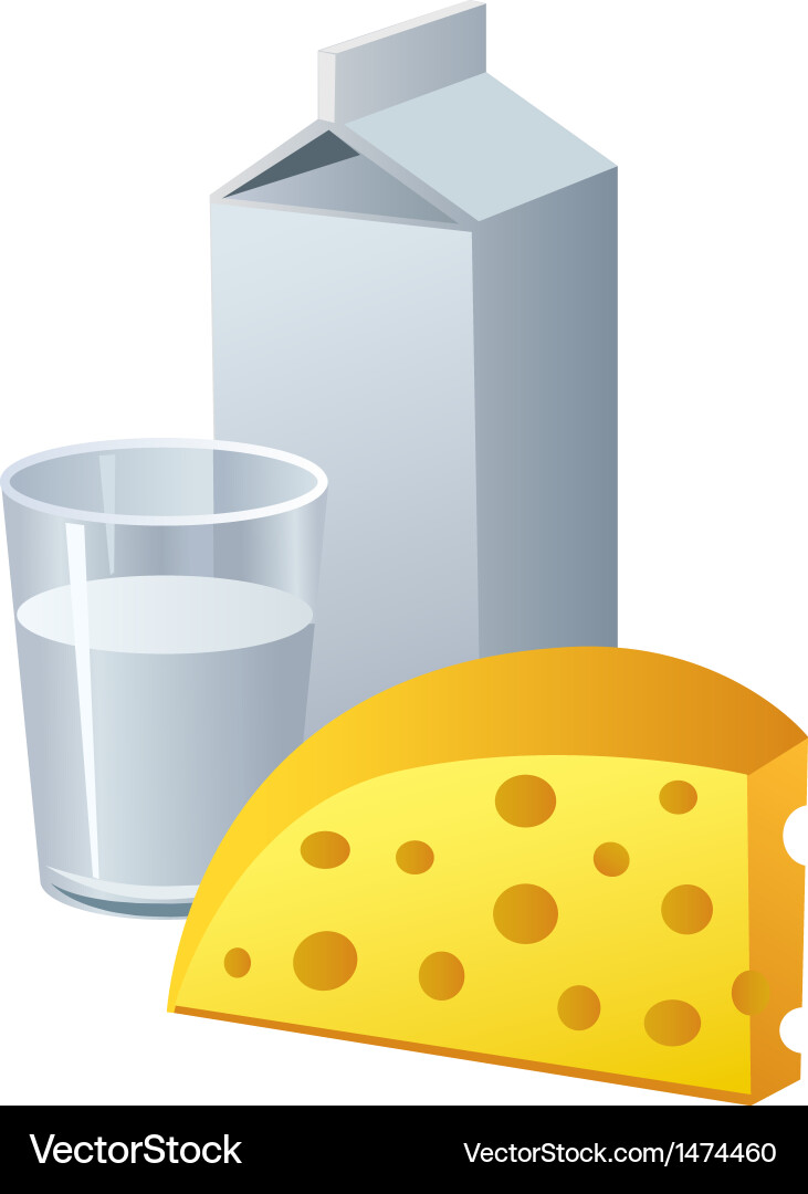 Cheese and milk vector image