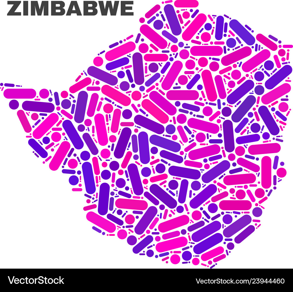 Mosaic zimbabwe map of dots and lines Mosaic zimbabwe map of dots and lines vector image