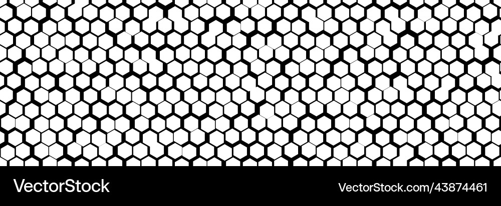 Irregular Honeycomb Pattern vector image