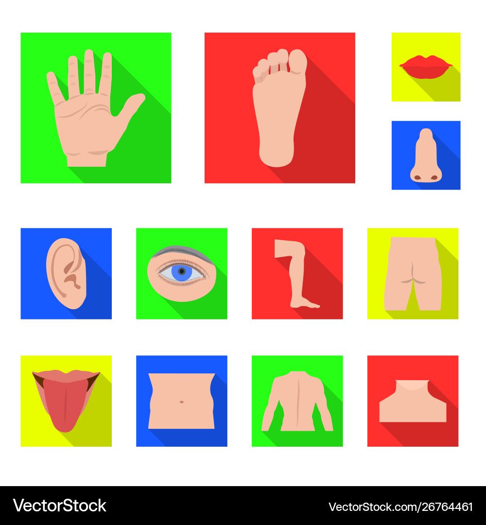 Isolated object human and part sign set Isolated object human and part sign set vector image