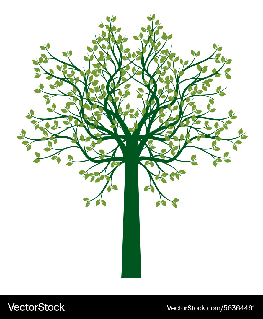 Shape of green tree with leaves Shape of green tree with leaves vector image