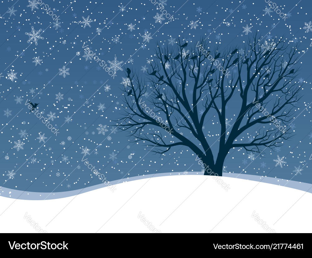 Winter card of snowfall with trees Vector Image