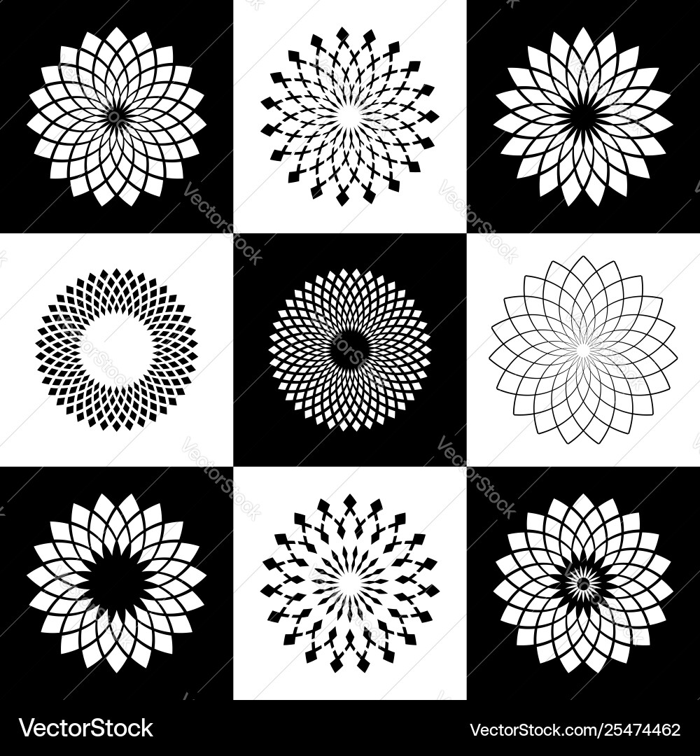 Geometric Circle Patterns vector image
