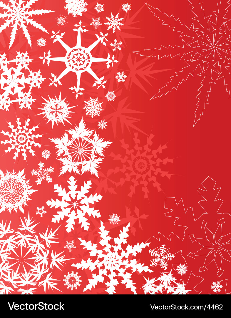 Winter Snowflake Pattern vector image