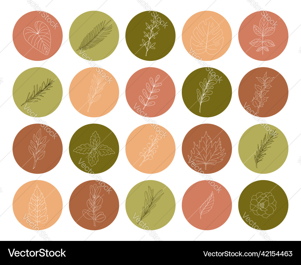 Set of icons on a round shape with twigs Set of icons on a round shape with twigs vector image