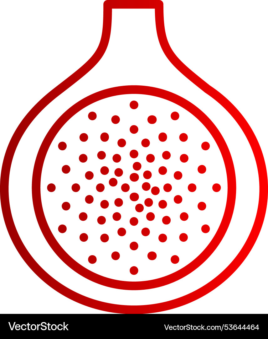Fig line gradient icon Vector Image