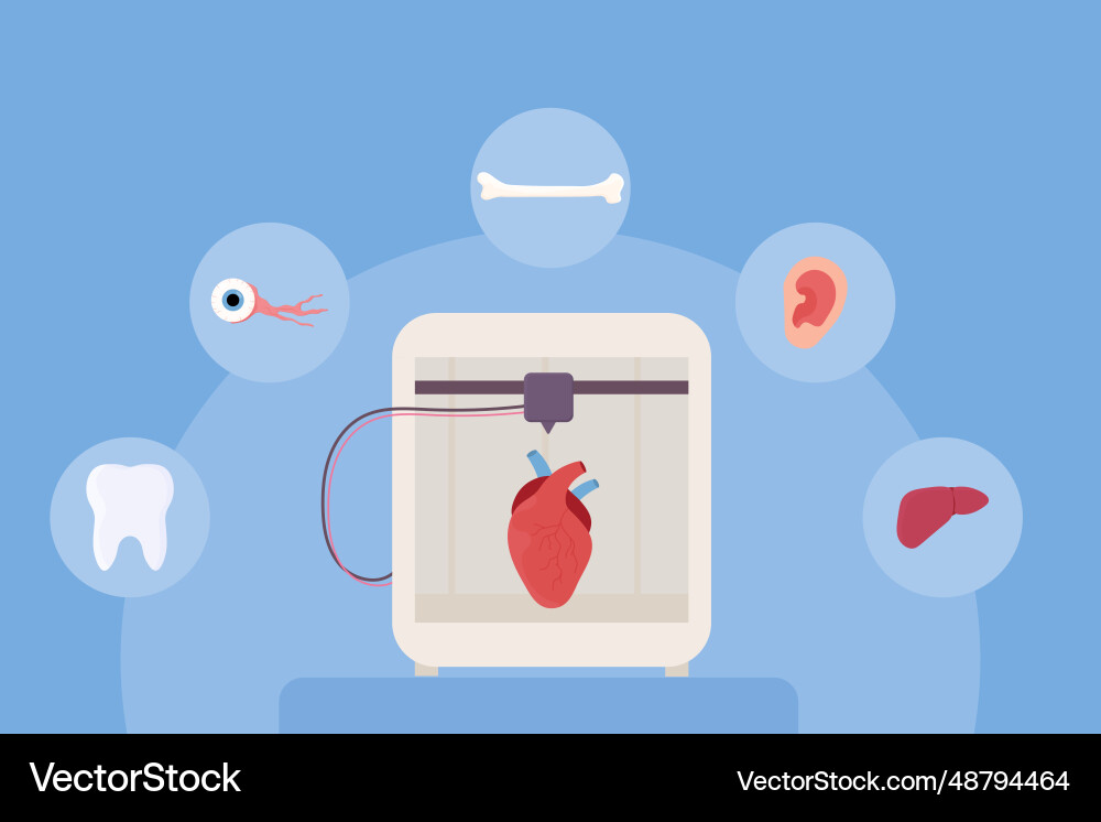 Set 3d printing bioprinting artificial organs Vector Image