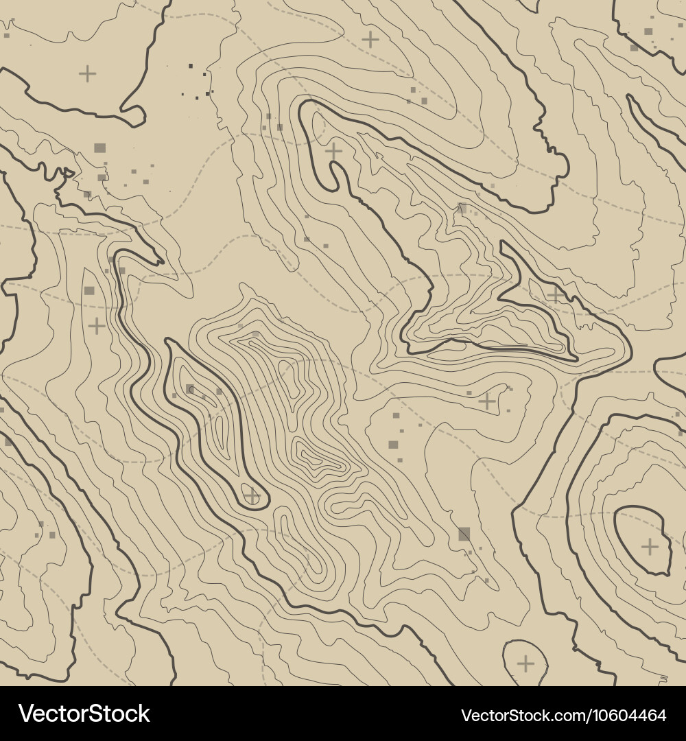Topographic Map Background Vector Image