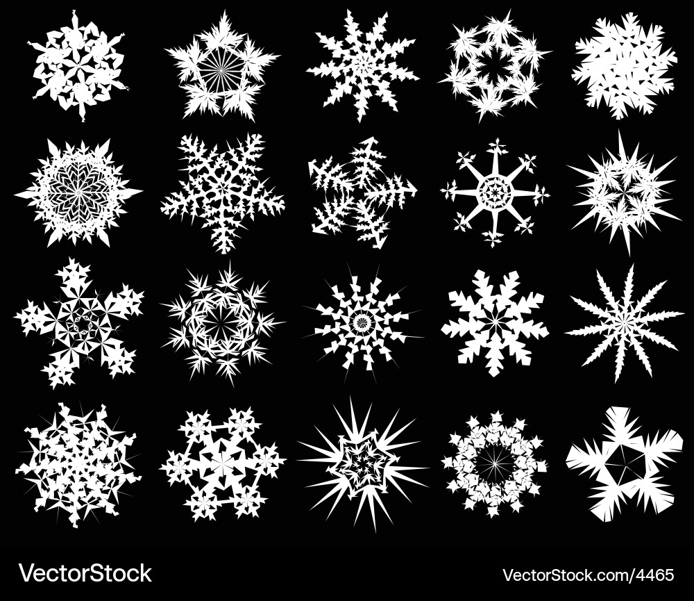 Frozen Snowflake Collection vector image
