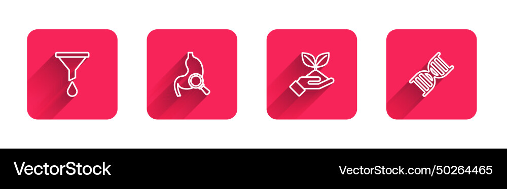 Set line funnel or filter stomach with magnifying Vector Image