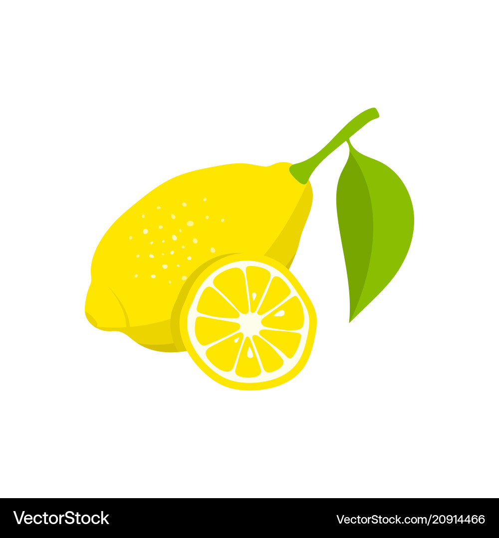 Lemon and slice of on white background Lemon and slice of on white background vector image