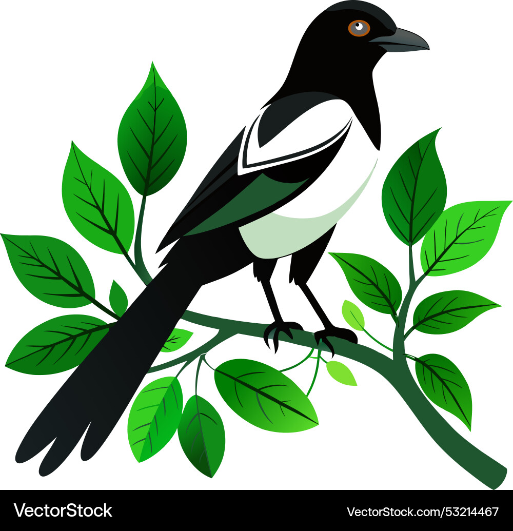 Create a art magpie bird sitting on tree branch Vector Image