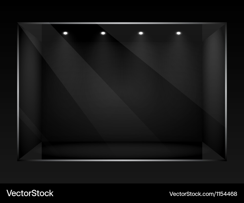 Dark Shop Window Display vector image