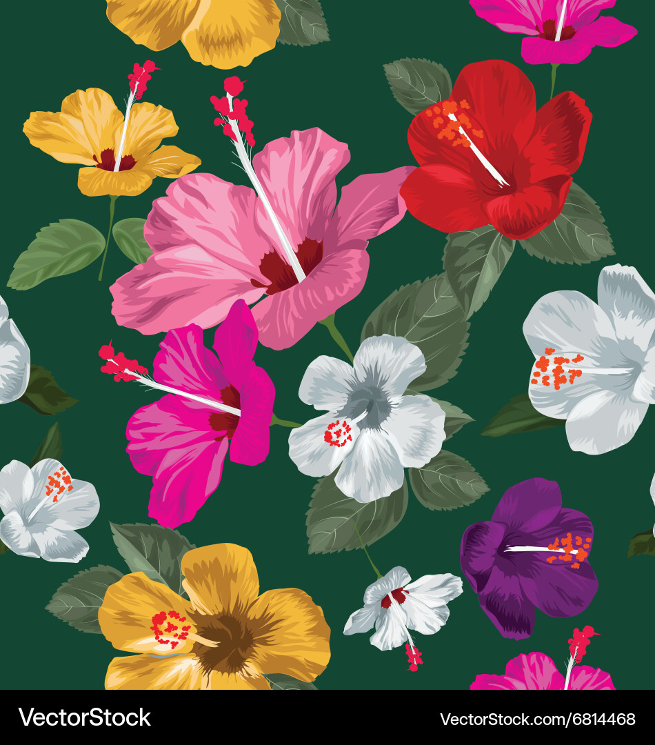 Hibiscus seamless pattern Royalty Free Vector Image
