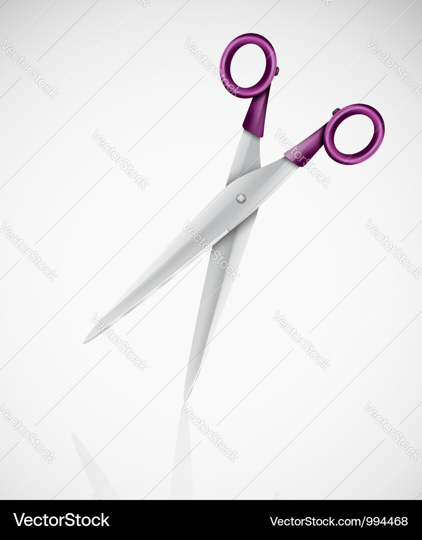 Isolated scissors Vector Image