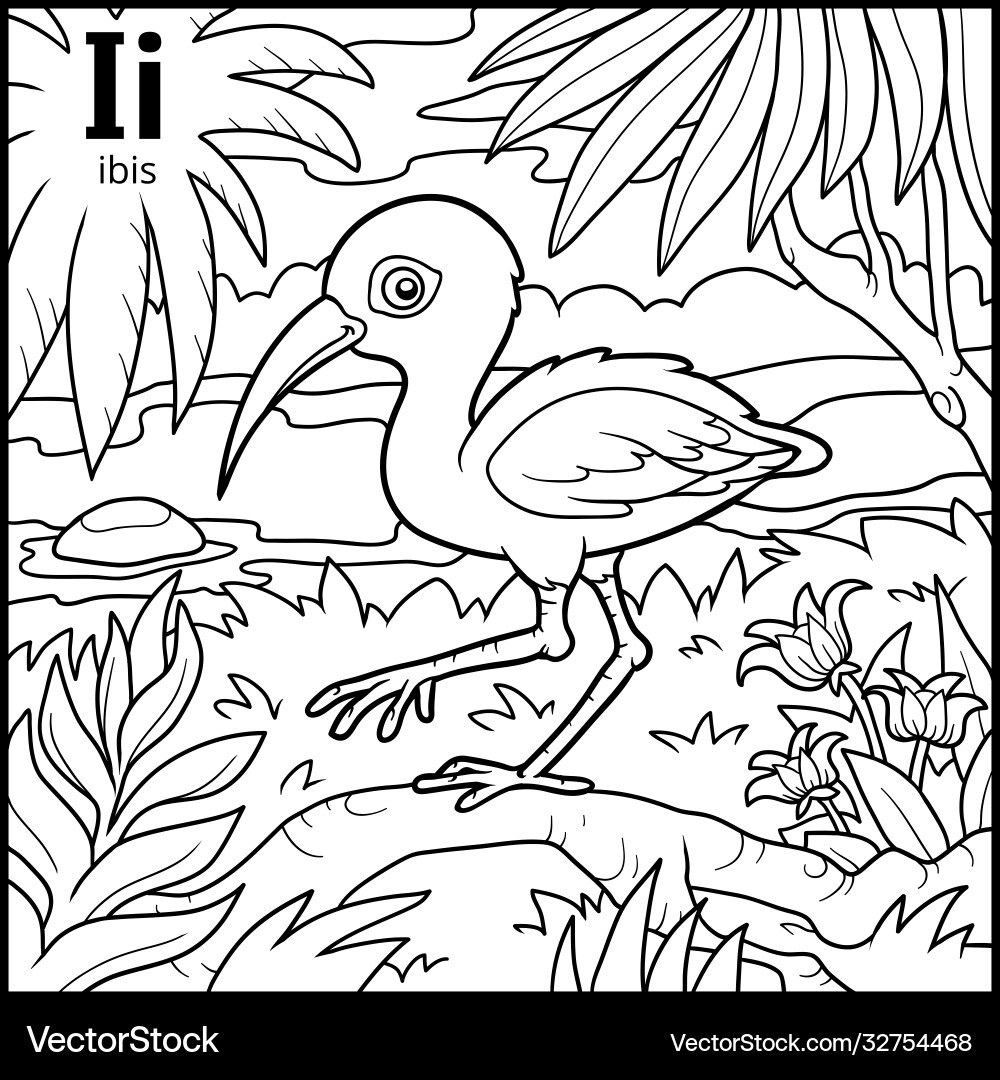 Malbuch farbloses Alphabet Buchstaben i ibis Malbuch farbloses Alphabet Buchstaben i ibis vektorbild