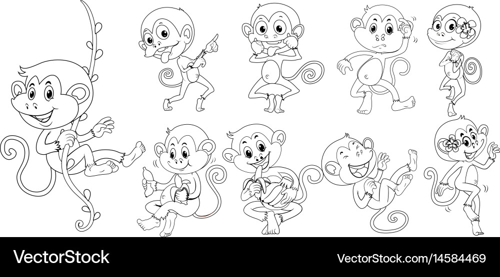 Animal outline for monkeys in different actions vector image