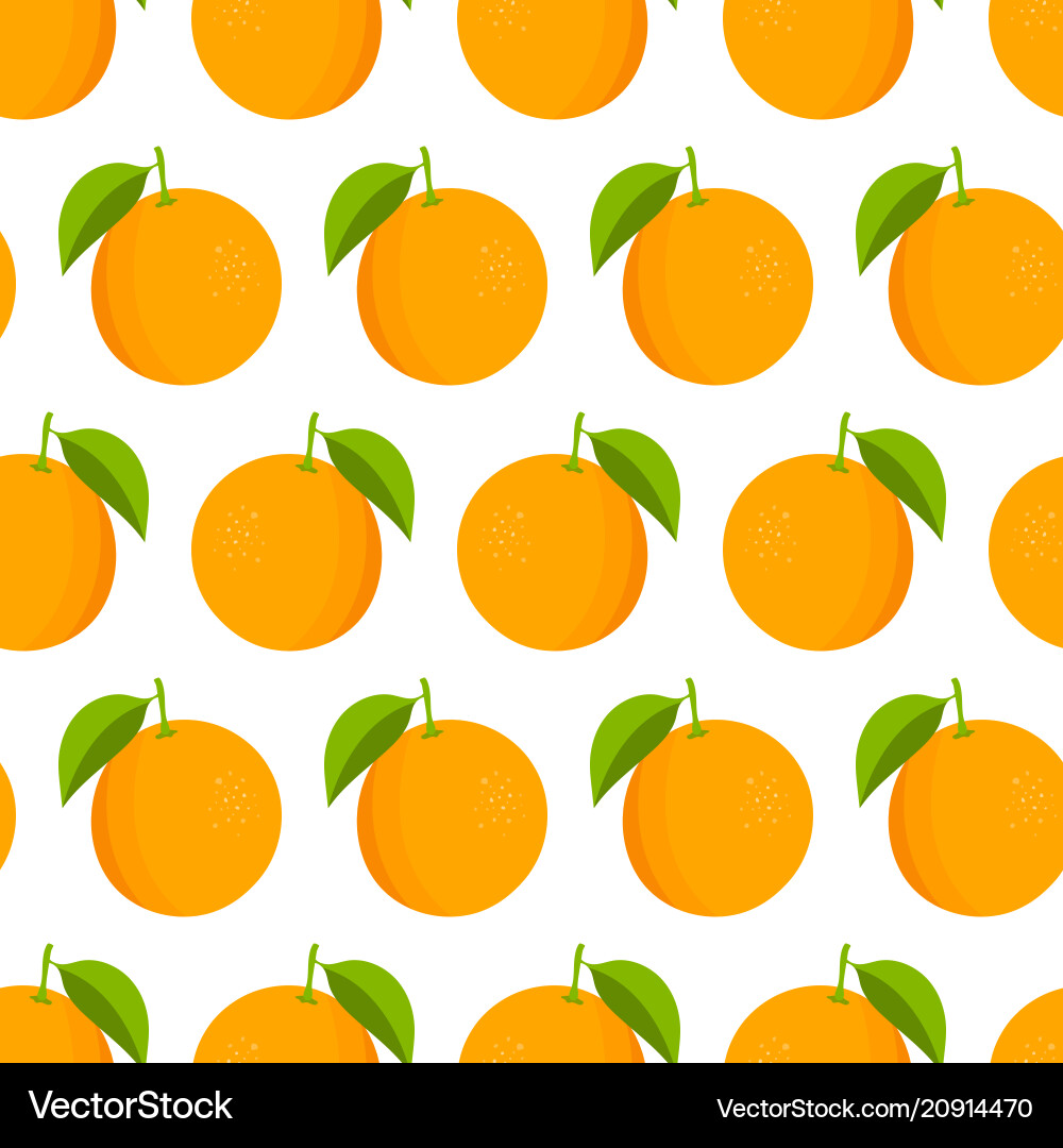 Oranges pattern fresh on white background Oranges pattern fresh on white background vector image