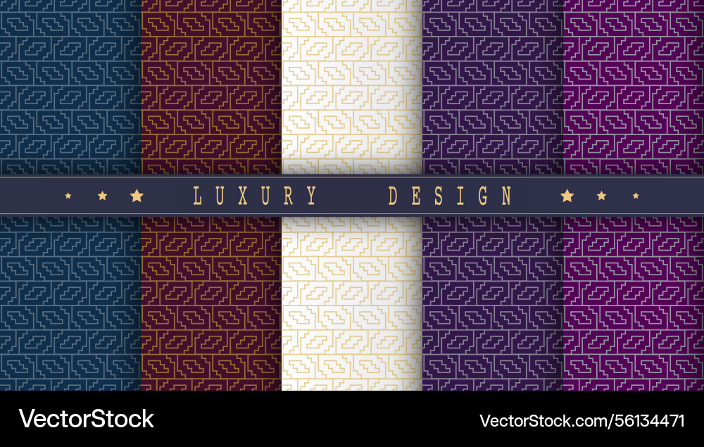A luxurious pattern set of spectacular patterns A luxurious pattern set of spectacular patterns vector image