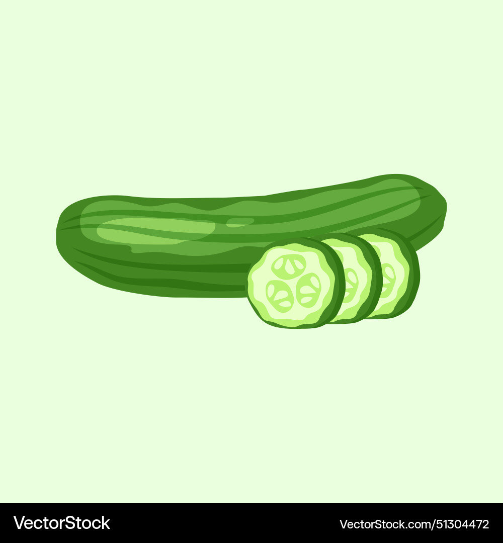 Cucumber whole and slices vector image