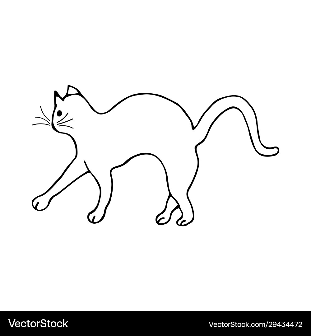 Doodle Katze bogen seinen Rücken schwarz und weiß Doodle Katze bogen seinen Rücken schwarz und weiß vektorbild