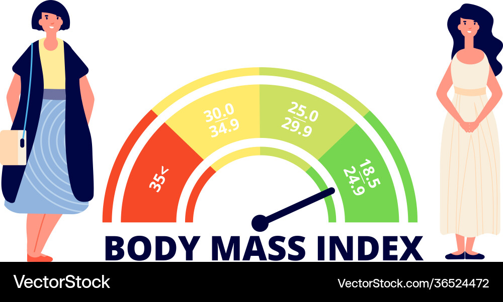 Körper Massenindex fettleibige Frau fit und fette Dame Körper Massenindex fettleibige Frau fit und fette Dame vektorbild