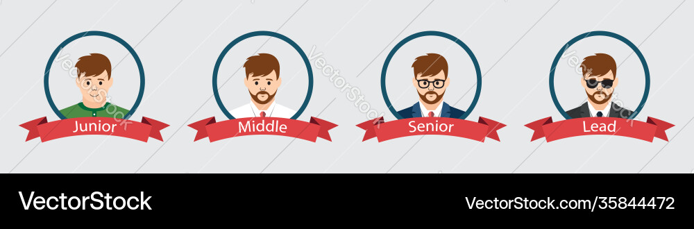 Software developer levels from junior to lead vector image