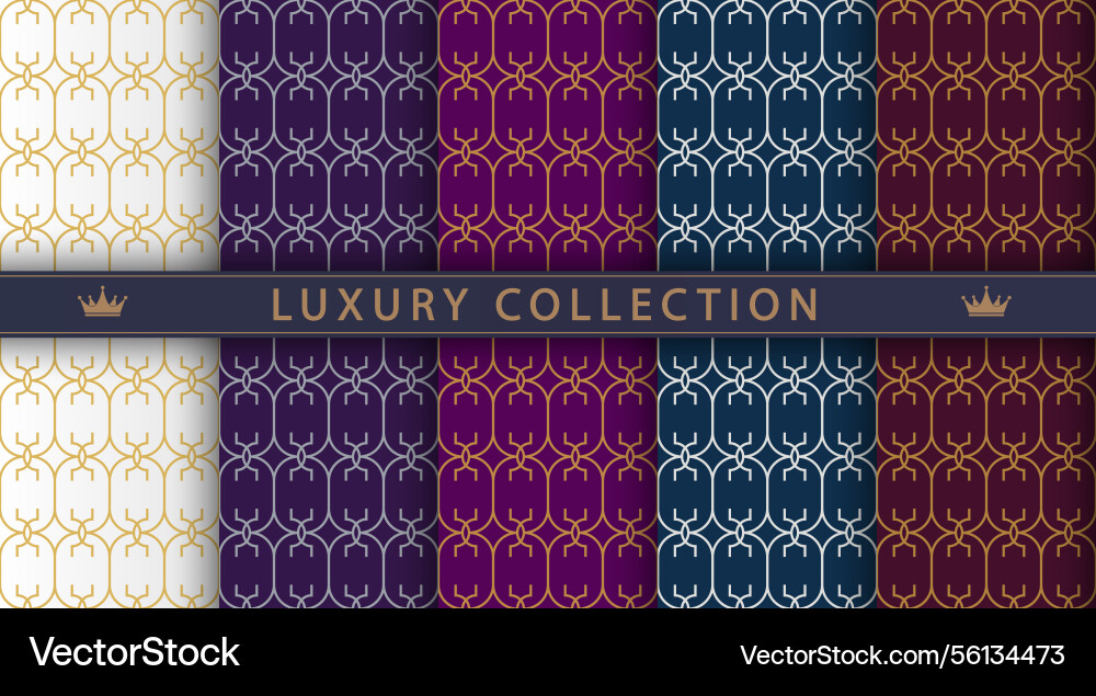 A luxurious pattern set of spectacular patterns A luxurious pattern set of spectacular patterns vector image