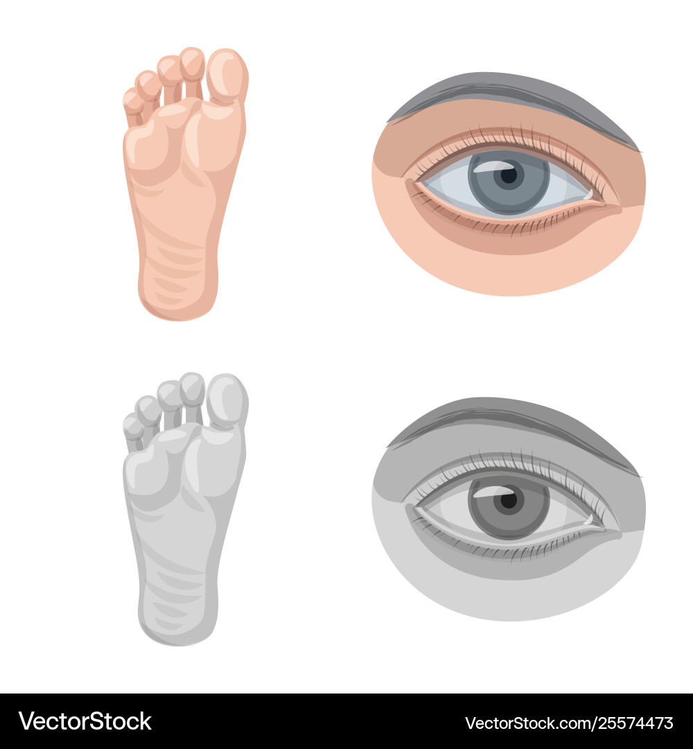 Design human and part symbol set Vector Image