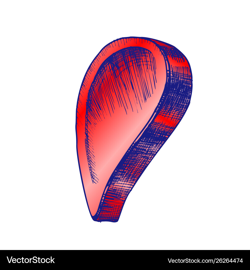 Farbe Drop Map Pointer gps Standort App-Symbol Farbe Drop Map Pointer gps Standort App-Symbol vektorbild