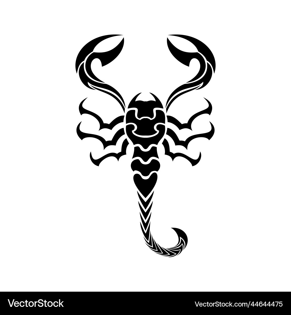 Scorpion tattoo tribal vector image