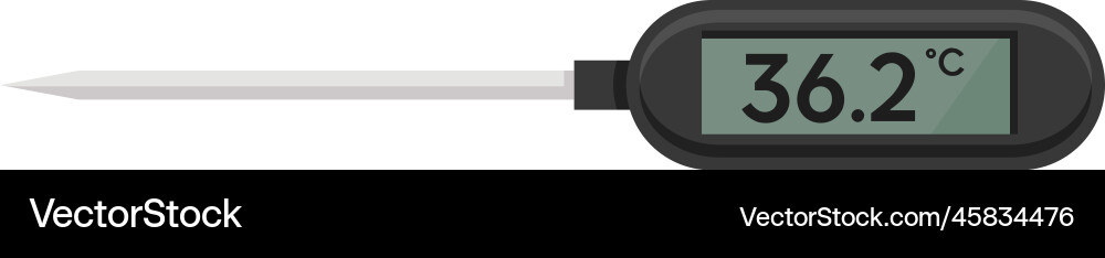 Thermometer with screen electronic device Vector Image