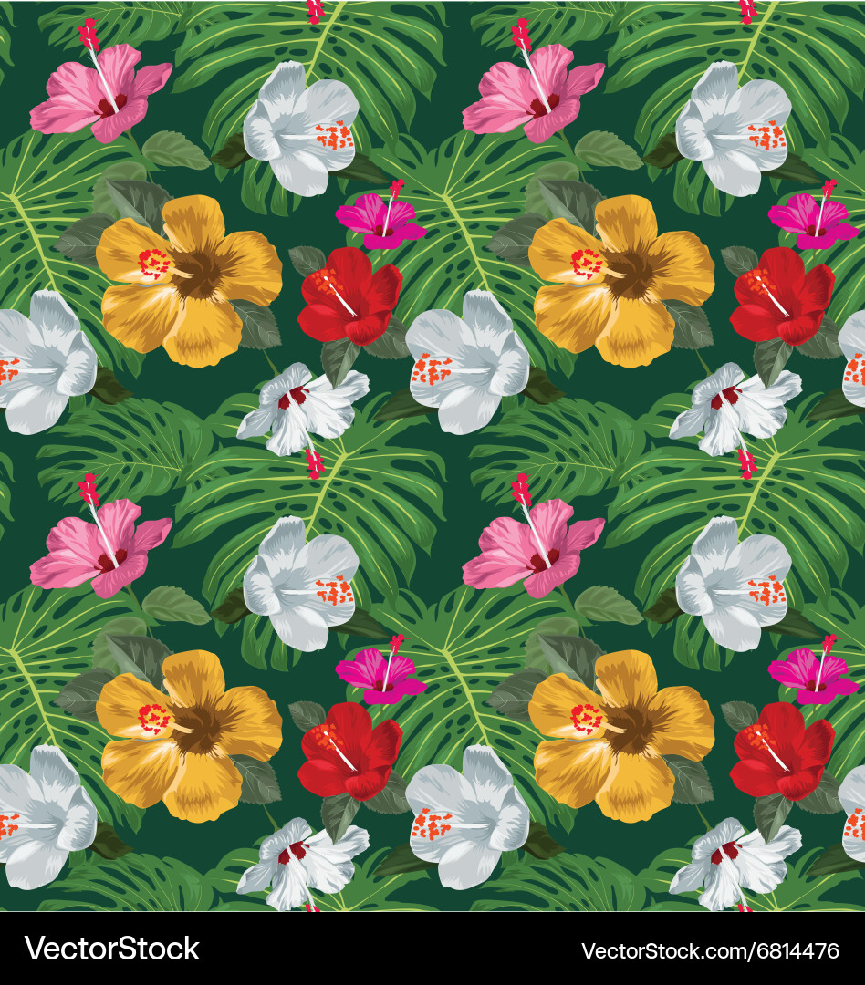 Tropical Hibiscus Pattern Vector Image