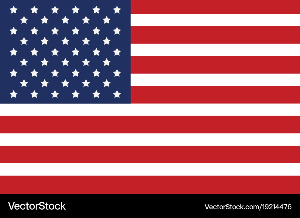 Usa flag isolated icon vector image