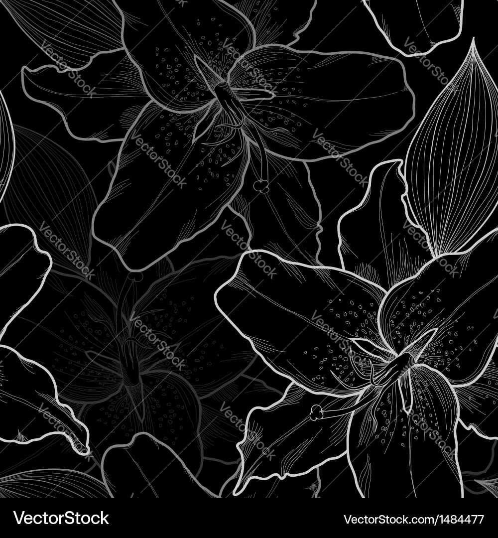 Elegant Lily Outline Pattern vector image
