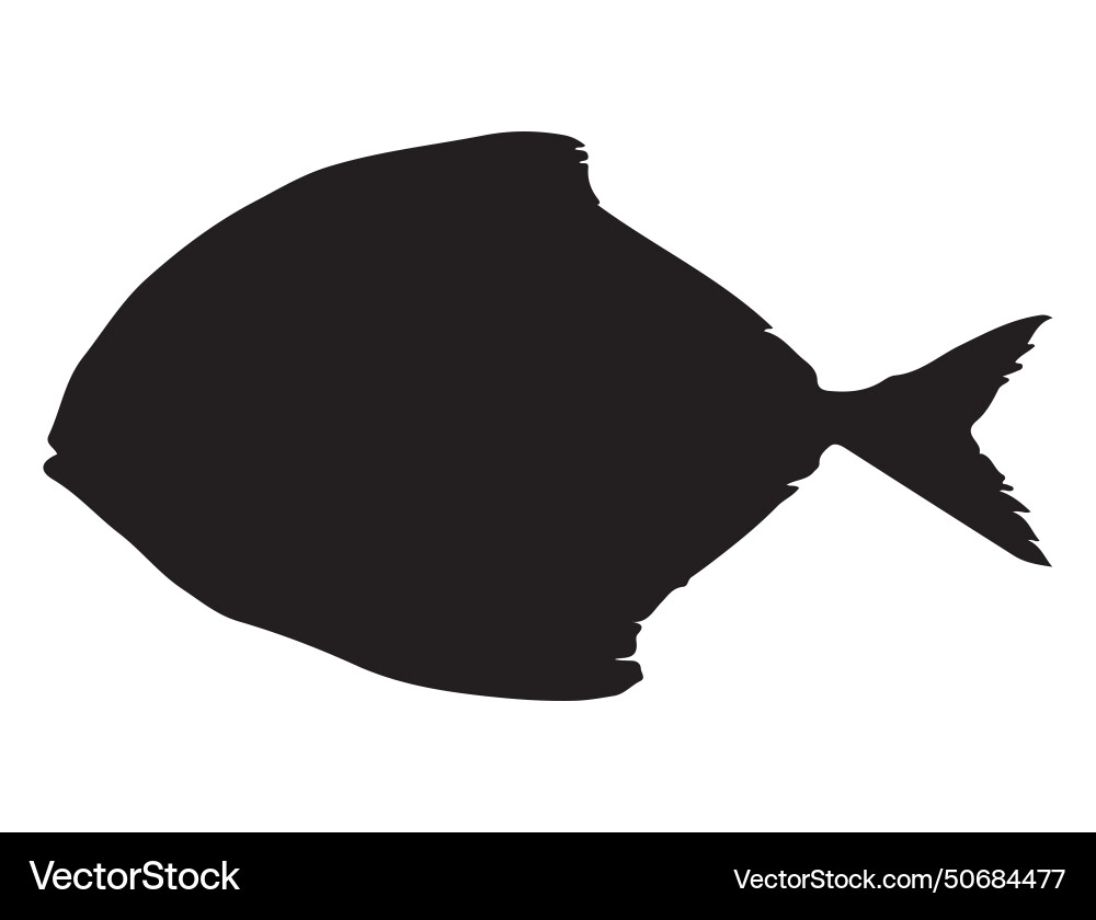 Pomfret fish silhouette art vector image