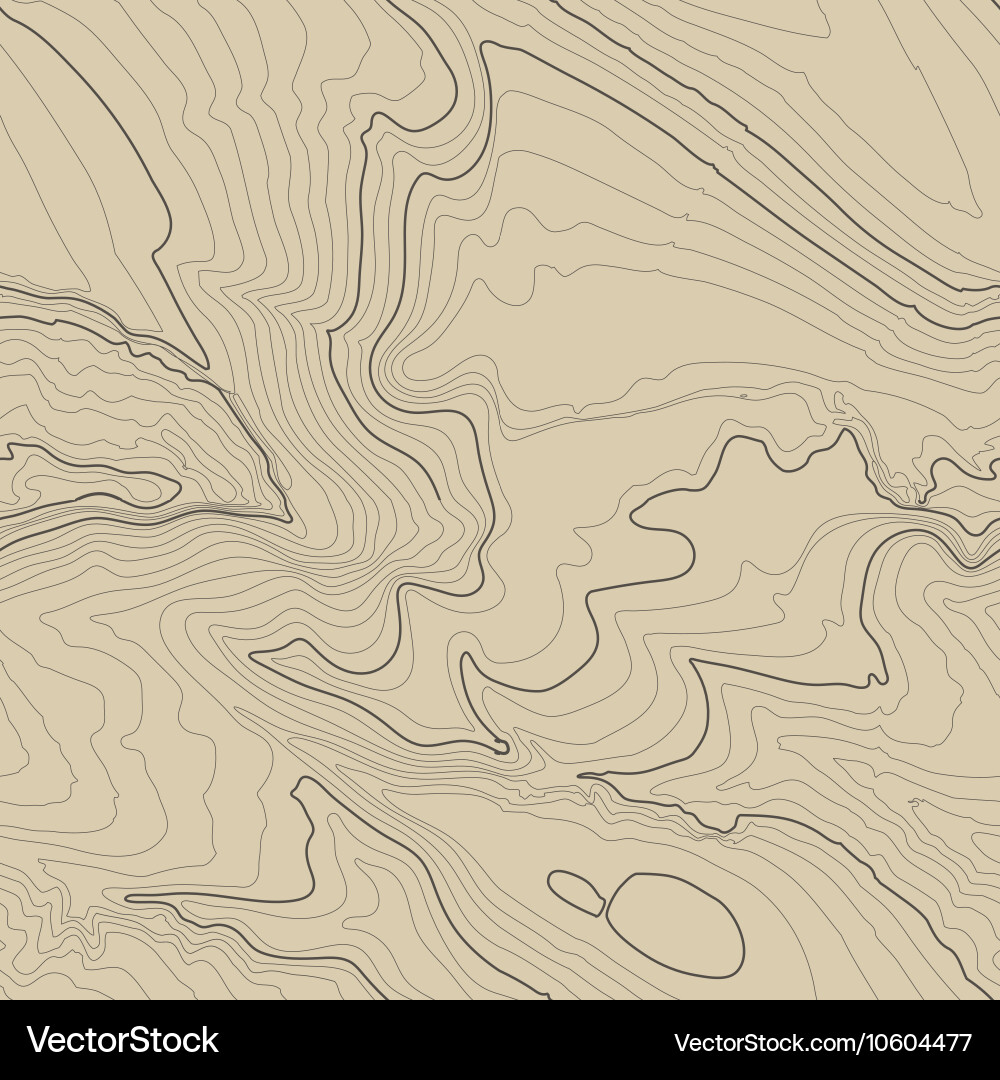Topographic map background concept with space Vector Image