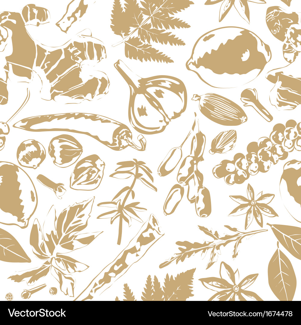 Spice Seamless Pattern Vector Image