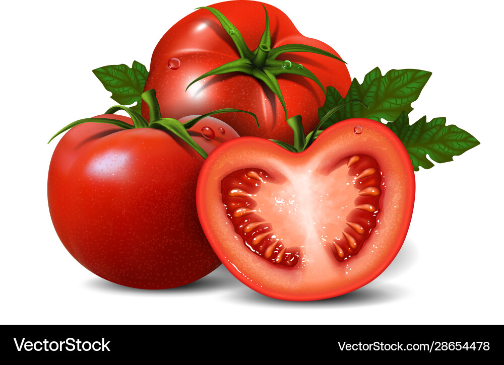 Two red whole tomatoes and one half tomato highly – Royalty-Free