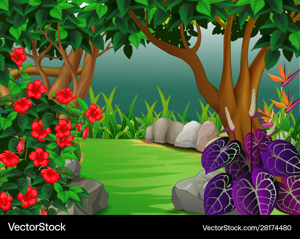 Beautiful forest view with tropical plants cartoon – Royalty-Free Vector |  VectorStock, image size:1000x796