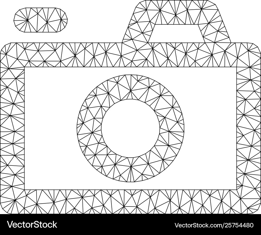 Camera polygonal frame mesh Vector Image