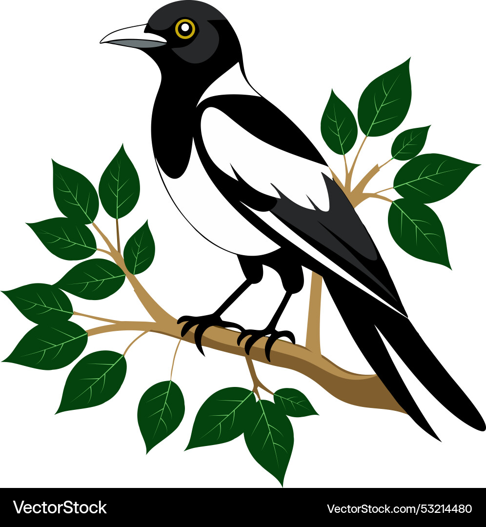 Create a art magpie bird sitting on tree branch vector image