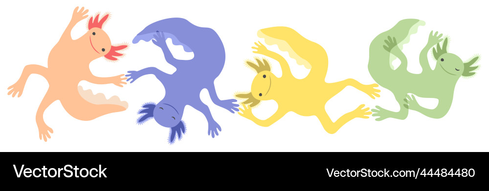 Isolated of four colorful axolotls Vector Image