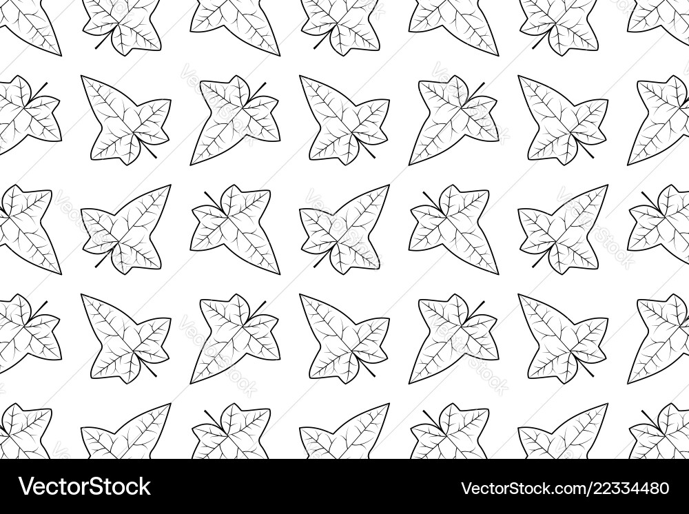 Ivy leaf pattern Ivy leaf pattern vector image