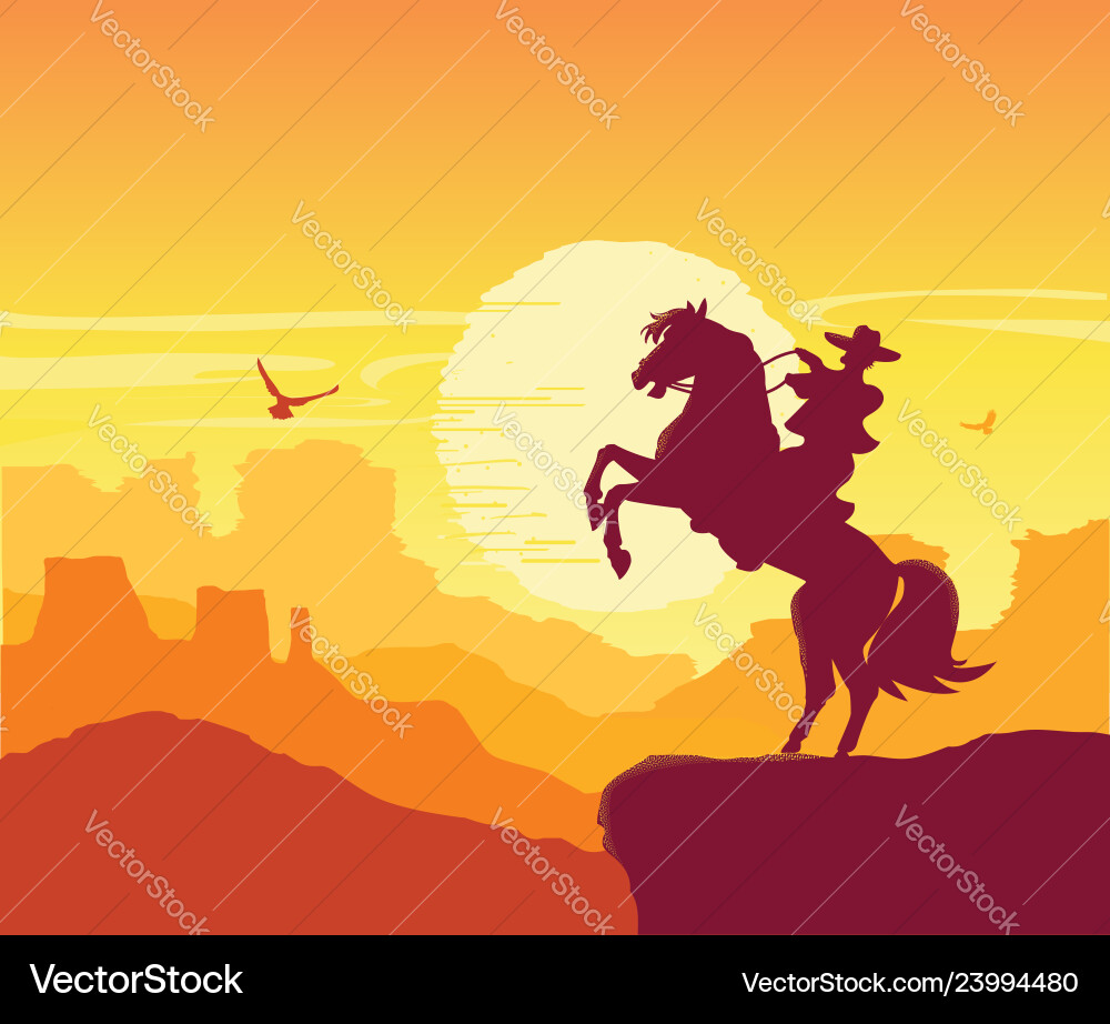 Wild west american desert arizona prairie Vector Image