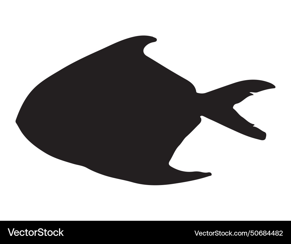 Pomfret fish silhouette art vector image